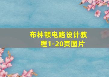 布林顿电路设计教程1-20页图片