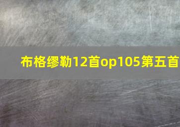 布格缪勒12首op105第五首