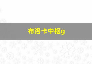 布洛卡中枢g