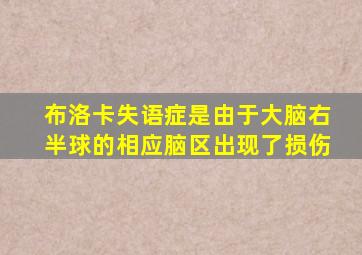 布洛卡失语症是由于大脑右半球的相应脑区出现了损伤