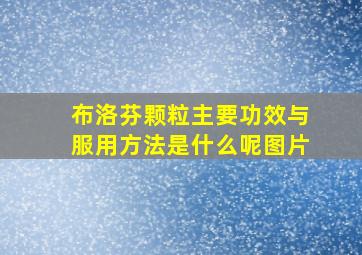 布洛芬颗粒主要功效与服用方法是什么呢图片