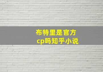 布特里是官方cp吗知乎小说