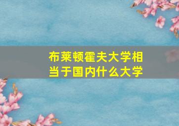 布莱顿霍夫大学相当于国内什么大学