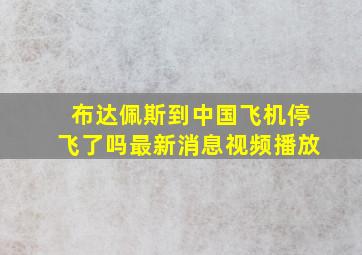 布达佩斯到中国飞机停飞了吗最新消息视频播放