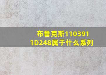 布鲁克斯1103911D248属于什么系列