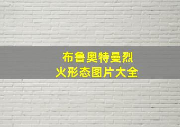 布鲁奥特曼烈火形态图片大全