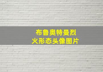 布鲁奥特曼烈火形态头像图片