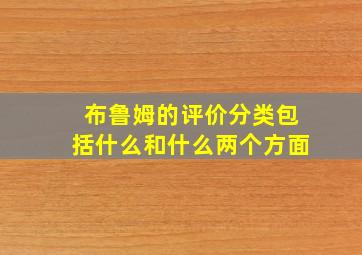 布鲁姆的评价分类包括什么和什么两个方面