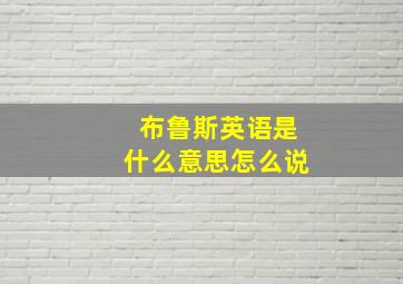 布鲁斯英语是什么意思怎么说