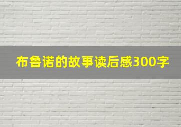 布鲁诺的故事读后感300字