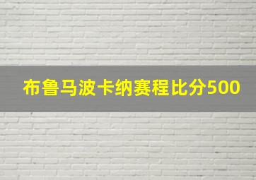 布鲁马波卡纳赛程比分500