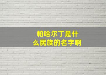 帕哈尔丁是什么民族的名字啊