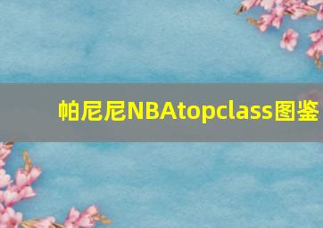 帕尼尼NBAtopclass图鉴