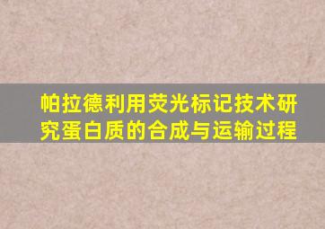 帕拉德利用荧光标记技术研究蛋白质的合成与运输过程