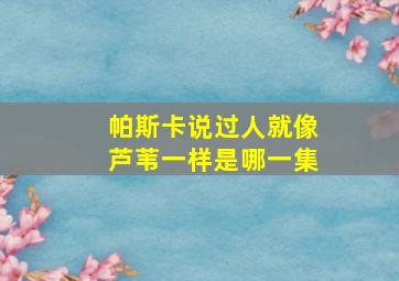 帕斯卡说过人就像芦苇一样是哪一集