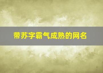 带苏字霸气成熟的网名