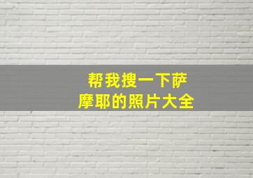 帮我搜一下萨摩耶的照片大全