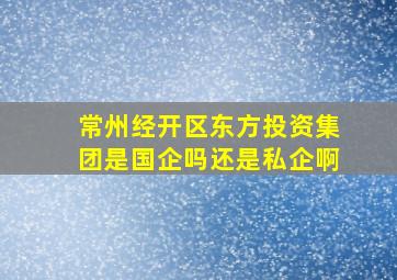 常州经开区东方投资集团是国企吗还是私企啊