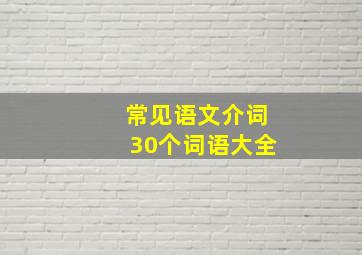 常见语文介词30个词语大全