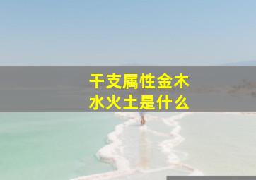 干支属性金木水火土是什么