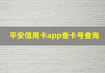 平安信用卡app查卡号查询