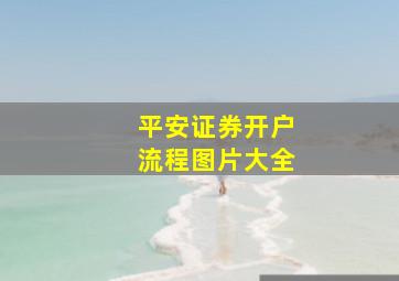 平安证券开户流程图片大全