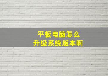 平板电脑怎么升级系统版本啊