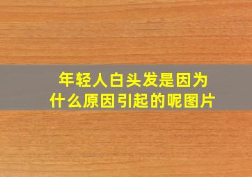 年轻人白头发是因为什么原因引起的呢图片