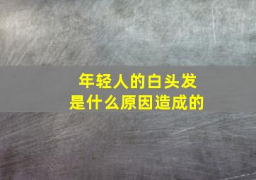 年轻人的白头发是什么原因造成的