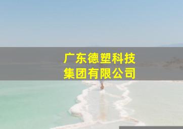 广东德塑科技集团有限公司