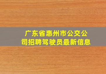 广东省惠州市公交公司招聘驾驶员最新信息