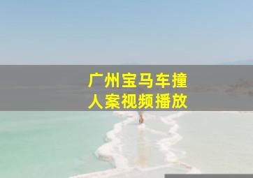 广州宝马车撞人案视频播放