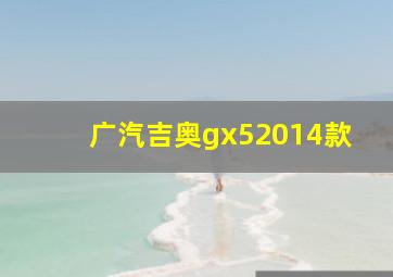 广汽吉奥gx52014款