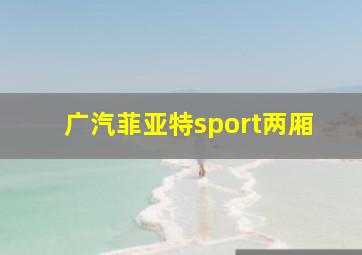 广汽菲亚特sport两厢