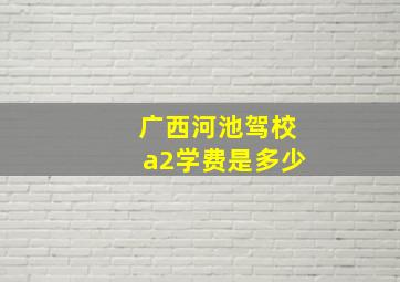 广西河池驾校a2学费是多少