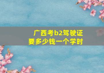 广西考b2驾驶证要多少钱一个学时