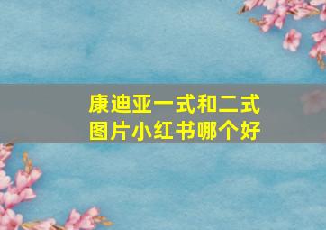 康迪亚一式和二式图片小红书哪个好