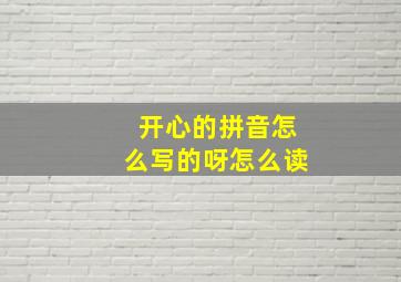 开心的拼音怎么写的呀怎么读