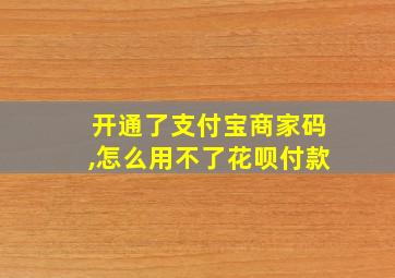 开通了支付宝商家码,怎么用不了花呗付款