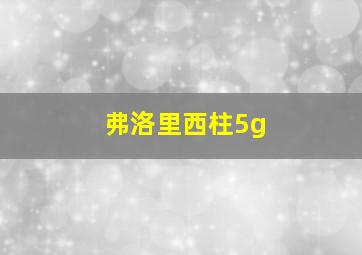 弗洛里西柱5g