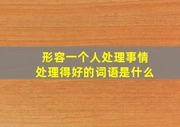 形容一个人处理事情处理得好的词语是什么