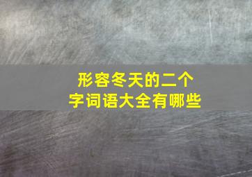 形容冬天的二个字词语大全有哪些