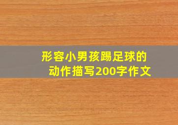 形容小男孩踢足球的动作描写200字作文