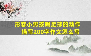 形容小男孩踢足球的动作描写200字作文怎么写