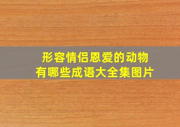 形容情侣恩爱的动物有哪些成语大全集图片