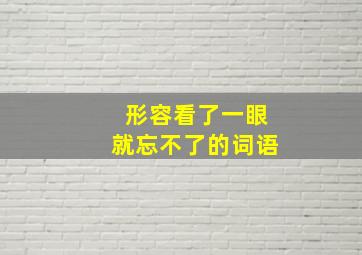 形容看了一眼就忘不了的词语