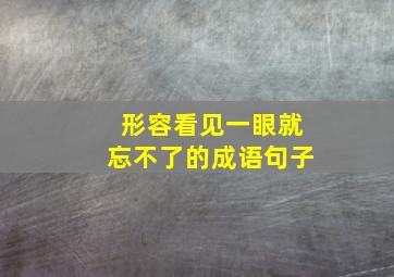 形容看见一眼就忘不了的成语句子