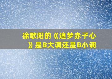 徐歌阳的《追梦赤子心》是B大调还是B小调