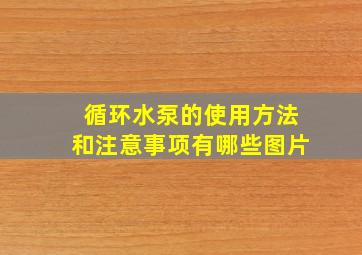 循环水泵的使用方法和注意事项有哪些图片