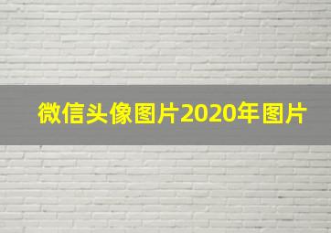 微信头像图片2020年图片